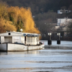 Bugival, bord de Seine